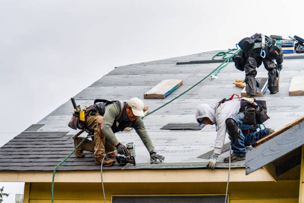 Professional Gutter Installation technician working in Hilbert, WI